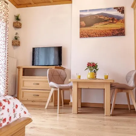 Bed and Breakfast U Babci Wisła