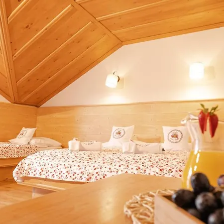 Bed and Breakfast U Babci