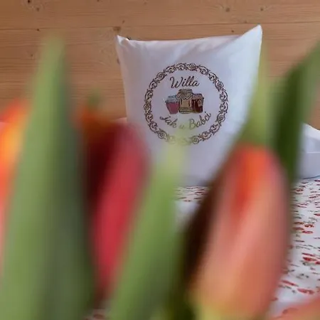 Nocleg ze śniadaniem U Babci 3*