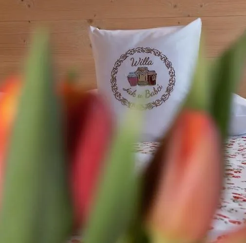 فندق مبيت وإفطار Jak U Babci 3*